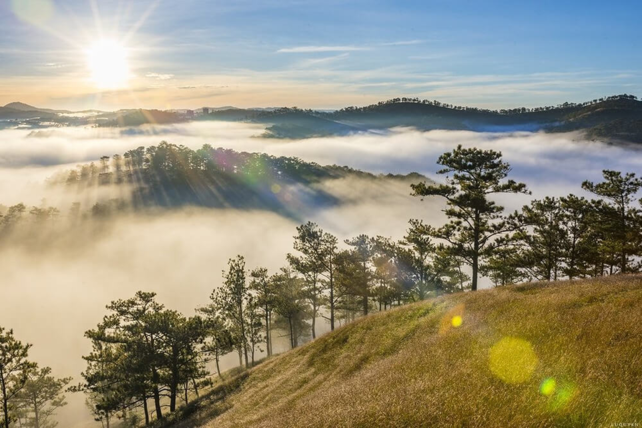 Da Lat 3 Days 2 Nights Tour: From Da Nang to Da Lat - The Land of Pine Trees The Land of Pine Trees 